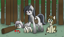Size: 2645x1515 | Tagged: safe, artist:seafooddinner, oc, oc only, oc:meadow frost, oc:snowfall, oc:tundra tracker, pony, yakutian horse, bag, chest fluff, dark belly, ear fluff, eye clipping through hair, eyebrows, eyebrows visible through hair, female, filly, fluffy, foal, forest, leg fluff, looking at something, mare, mother and child, mouth hold, mushroom, pale belly, pinecone, reverse countershading, saddle bag, siblings, sisters, sitting, snow, standing, toadstool, trio