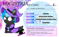 Size: 1016x638 | Tagged: safe, artist:hrabiadeblacksky, oc, oc:hrabia de black sky, pony, unicorn, a song of ice and fire, blanket, cart, commission, cropped, cute, description, flag, hat, id card, male, solo, stallion