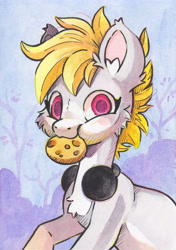 Size: 3437x4889 | Tagged: safe, artist:cutepencilcase, oc, oc only, oc:cookie malou, earth pony, pony, absurd resolution, art fight, bust, chest fluff, colored pupils, cookie, earth pony oc, food, headphones, mouth hold, nom, portrait, smiling, solo