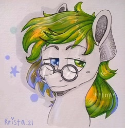 Size: 1044x1073 | Tagged: safe, artist:krista-21, edit, oc, oc only, oc:filami_rains, pegasus, pony, bust, femboy, gift art, glasses, heterochromia, male, portrait, profile picture, solo, stallion, traditional art