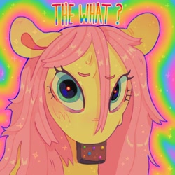 Size: 1440x1440 | Tagged: safe, artist:ariariari.png, fluttershy, pegasus, pony, g4, brownie, bust, dialogue, drugs, female, food, forever weed brownie, looking at you, marijuana, mouth hold, rainbow background, reference, solo, sparkles, stray strand, sweat