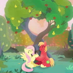 Size: 1400x1400 | Tagged: safe, artist:mlplary6, big macintosh, fluttershy, earth pony, pegasus, pony, g4, apple, apple tree, boyfriend and girlfriend, eyes closed, female, holding hooves, intertwined trees, love, male, mare, pear tree, romantic, ship:fluttermac, shipping, sitting, smiling, stallion, straight, tree