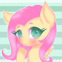 Size: 500x500 | Tagged: safe, artist:halcyondrop, fluttershy, pegasus, pony, g4, bust, cute, female, looking at you, mare, portrait, shyabetes, solo, spread wings, wings