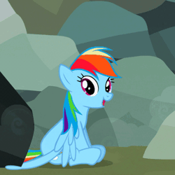 Size: 576x576 | Tagged: safe, screencap, rainbow dash, pegasus, pony, g4, may the best pet win, season 2, animated, cropped, female, gif, happy, mare, sitting, solo, tail, tail wag
