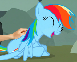 Size: 409x329 | Tagged: safe, edit, edited screencap, screencap, rainbow dash, pegasus, pony, g4, may the best pet win, season 2, back scratching, cropped, female, hand, mare, sitting