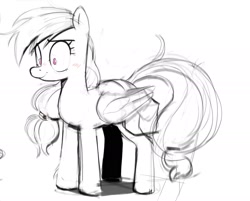 Size: 1969x1585 | Tagged: safe, alternate version, artist:_ton618_, rainbow dash, pegasus, pony, g4, bag, blushing, female, grayscale, mare, monochrome, older, older rainbow dash, partial color, saddle bag, shrunken pupils, simple background, sketch, smiling, solo, white background