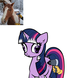 Size: 1800x1800 | Tagged: safe, artist:scandianon, twilight sparkle, pony, unicorn, g4, clothes, derp, female, gloves, hair dryer, hand, hoers, ice, mare, ponified, ponified animal photo, rectangular pupil, simple background, snow, unicorn twilight, whiskers, white background