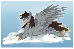 Size: 3447x2308 | Tagged: safe, artist:themstap, oc, oc:luxor, classical hippogriff, hippogriff, chest fluff, cloud, high res, looking at you, lying, passepartout, simple background, smiling, solo, spread wings, wings