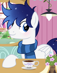 Size: 1080x1378 | Tagged: safe, artist:cstrawberrymilk, oc, oc only, oc:moonlight dust, pegasus, pony, g4, clothes, cup, male, scarf, solo, stallion, striped scarf, teacup