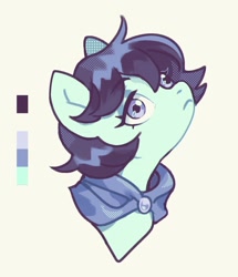 Size: 1096x1274 | Tagged: safe, artist:lunnita_pony, oc, oc only, pony, bust, portrait, solo