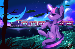 Size: 5100x3300 | Tagged: safe, artist:kawaiipony2, twilight sparkle, alicorn, pony, g4, absurd resolution, crescent moon, female, folded wings, glowing, glowing horn, grass, horn, leaves, magic, mare, moon, night, night sky, outdoors, sitting, sky, solo, train, twilight sparkle (alicorn), wings