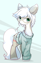 Size: 1250x1920 | Tagged: safe, artist:dshou, oc, oc only, earth pony, pony, abstract background, clothes, coat markings, crossed hooves, earth pony oc, eye clipping through hair, male, solo, stallion, sweater, white mane