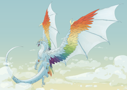 Size: 2269x1624 | Tagged: safe, artist:lyrebones, rainbow dash, dragon, g4, cloud, colored wings, dragonified, flying, rainbow dragon, sky, solo, species swap, wings
