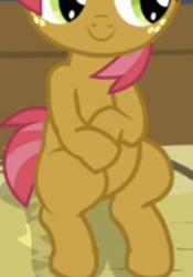 Size: 378x541 | Tagged: safe, screencap, babs seed, earth pony, pony, apple family reunion, g4, belly, cropped, pictures of bellies, sitting, smiling, solo