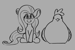 Size: 1026x683 | Tagged: safe, artist:aliceg, fluttershy, bird, chicken, pegasus, pony, g4, c:, cute, female, gray background, grayscale, looking at you, mare, monochrome, pun, shyabetes, simple background, sitting, smiling, smiling at you, visual pun