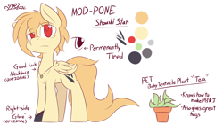 Size: 1920x1080 | Tagged: safe, artist:dshou, oc, oc only, oc:shoushi star, pegasus, pony, bags under eyes, jewelry, male, necklace, plant, red eyes, reference sheet, simple background, solo, stallion, white background