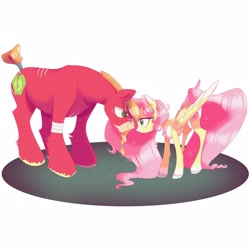 Size: 3000x3000 | Tagged: safe, artist:texacity, big macintosh, fluttershy, earth pony, pegasus, pony, g4, bandage, bandaged leg, female, flower, flower in hair, heart, heart eyes, height difference, high res, large wings, larger male, long mane, long tail, looking at each other, looking at someone, looking into each others eyes, male, mare, physique difference, scar, ship:fluttermac, shipping, simple background, slender, smaller female, stallion, straight, tail, tail wrap, thin, unshorn fetlocks, white background, wingding eyes, wings