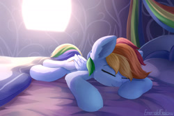 Size: 2400x1600 | Tagged: safe, artist:emeraldgalaxy, rainbow dash, pegasus, pony, g4, bed, bedroom, cute, dashabetes, eyebrows, eyes closed, female, folded wings, indoors, lying down, mare, old art, on bed, pillow, signature, sleeping, smiling, solo, wings