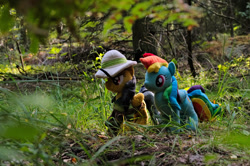 Size: 1097x728 | Tagged: safe, photographer:mgrdash, daring do, rainbow dash, pegasus, pony, g4, forest, handmade, irl, photo, plushie, ponies in real life