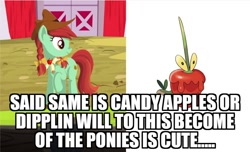 Size: 800x485 | Tagged: safe, artist:lavendus, candy apples, earth pony, pony, g4, apple family member, bow, caption, cowboy hat, dipplin, engrish, exploitable meme, hair bow, hat, image macro, meme, pigtails, pokémon, solo, text