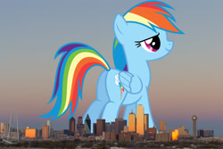 Size: 2047x1365 | Tagged: safe, anonymous editor, artist:dashiesparkle, edit, rainbow dash, pegasus, pony, g4, butt, dallas, female, folded wings, giant pony, giantess, highrise ponies, irl, macro, mare, photo, plot, ponies in real life, solo, story included, texas, wings