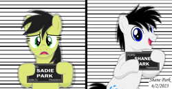 Size: 5000x2574 | Tagged: safe, artist:creedyboy124, oc, oc:sadie park, oc:shane park, pegasus, pony, g4, barbie, barbie (film), barbie mugshot meme, female, fillydelphia, male, mare, meme, mugshot, stallion