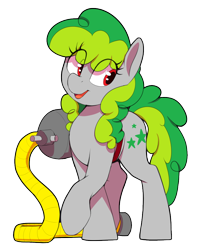 Size: 800x1000 | Tagged: safe, artist:thebatfang, oc, oc only, oc:tidy trails, earth pony, pony, earth pony oc, female, mare, simple background, solo, transparent background