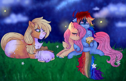 Size: 1110x720 | Tagged: safe, artist:mh-verse, applejack, fluttershy, rainbow dash, earth pony, firefly (insect), insect, pegasus, pony, g4, cider, cider mug, consoling, crying, cuddling, eyes closed, female, grass, grass field, lesbian, looking up, lying down, mare, mug, night, prone, sad, ship:flutterdash, shipping, sitting, trio