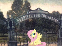 Size: 563x423 | Tagged: safe, edit, fluttershy, pegasus, pony, g4, female, fence, insane asylum, mare, out of character, real life background, sitting, smiling, solo, tree