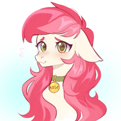 Size: 2000x2000 | Tagged: artist needed, safe, roseluck, earth pony, pony, g4, bust, collar, commission, commissioner:doom9454, cute, floppy ears, high res, pet tag, pony pet, portrait, rosepet, simple background, solo, white background