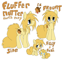 Size: 1038x985 | Tagged: safe, artist:muffinz, oc, oc only, oc:fluffer nutter, pony, fluffy tail, male, reference sheet, simple background, stallion, tail, white background