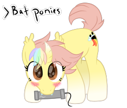 Size: 2600x2200 | Tagged: safe, artist:ponkus, oc, oc only, oc:ponkus, bat pony, bat pony unicorn, pony, unicorn, >bat ponies, blushing, funny, high res, horn, not a hybrid, pipebomb, simple background, solo, transparent background