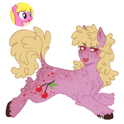 Size: 1000x1000 | Tagged: safe, artist:kazmuun, cherry berry, earth pony, pony, series:kazmuun's drawing every pony, g4, alternate design, alternate eye color, blush lines, blushing, butt fluff, chest fluff, coat markings, colored hooves, cute, cute little fangs, dappled, ear freckles, fangs, female, freckles, hooves, leg fluff, lying down, mare, prone, red eyes, redesign, screencap reference, shoulder fluff, simple background, solo, tongue out, transparent background, unshorn fetlocks