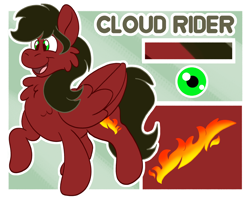 Size: 2500x2000 | Tagged: safe, artist:euspuche, oc, oc only, oc:cloud rider, pegasus, pony, high res, reference sheet