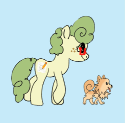 Size: 1293x1276 | Tagged: safe, artist:kiwiscribbles, oc, oc only, oc:kiwi scribbles, dog, earth pony, pony, animated, blue background, cyan background, earth pony oc, freckles, gif, glasses, pet, simple background, solo, walk cycle, walking