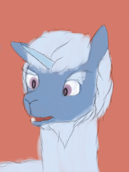 Size: 2048x2732 | Tagged: safe, anonymous artist, derpibooru exclusive, alphabittle blossomforth, alpaca, pony, unicorn, g5, alpacafied, colored sketch, confused, high res, male, open mouth, red background, simple background, sketch, solo, species swap, wip