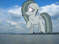 Size: 2047x1532 | Tagged: safe, anonymous editor, artist:gamemasterluna, edit, marble pie, earth pony, pony, g4, cute, female, floppy ears, giant pony, giantess, hair over one eye, highrise ponies, irl, macro, mare, memphis, nervous, photo, ponies in real life, raised hoof, smiling, solo, story included, tennessee