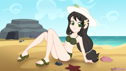 Size: 3832x2152 | Tagged: safe, artist:unichan, oc, oc only, oc:sawa (ice1517), human, starfish, equestria girls, g4, beach, belly button, bikini, bikini bottom, bikini top, breasts, cleavage, clothes, commission, equestria girls-ified, feet, female, flower, flower in hair, green bikini, green swimsuit, hat, high res, leaning back, long hair, looking at you, ocean, outdoors, rock, sand, sandals, seashell, sitting, smiling, smiling at you, solo, sun hat, swimsuit, water, ych result