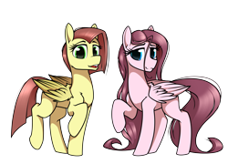 Size: 5700x4100 | Tagged: safe, artist:dacaoo, oc, oc only, pegasus, pony, closed mouth, cyan eyes, female, folded wings, green eyes, lidded eyes, looking at each other, looking at someone, mare, not fluttershy, not pinkamena, open mouth, pegasus oc, raised hoof, shoulder fluff, simple background, smiling, standing, transparent background, walking, wings
