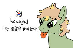Size: 300x200 | Tagged: safe, artist:hach, oc, oc only, unnamed oc, earth pony, pony, asian pony, bust, engrish, female, flag, hangul, korean, mare, misspelling, simple background, smiling, solo, south korea, south korean flag, tongue out, white background