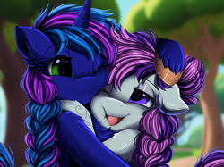 Size: 2979x2233 | Tagged: safe, artist:pridark, oc, oc only, pony, unicorn, braid, duo, high res, horn, unicorn oc