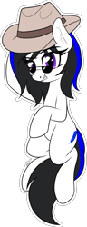Size: 1101x2870 | Tagged: safe, artist:seafooddinner, oc, oc only, oc:blueoriginpone, earth pony, pony, body pillow, body pillow design, female, hat, looking at you, mare, simple background, smiling, solo, sunglasses, transparent background