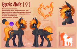 Size: 3845x2450 | Tagged: safe, artist:alrumoon_art, oc, oc only, pegasus, pony, chest fluff, high res, pointed ears, purple eyes, reference sheet, smiling, standing