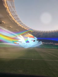 Size: 960x1280 | Tagged: safe, artist:logalay, rainbow dash, pegasus, pony, g4, dawn, female, flying, irl, mare, photo, ponies in real life, rainbow, real life background, realistic, solo, speed trail, sports, stadium