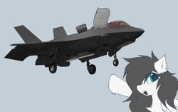 Size: 2081x1305 | Tagged: safe, artist:rieyadraws, oc, oc only, oc:jet blast, pegasus, pony, chest fluff, current events, ear fluff, f-35 lightning ii, floating, jet, jet fighter, jet plane, lockheed corporation, looking at you, meme, open mouth, plane, pointing, soyjak, wojak