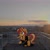 Size: 2160x2160 | Tagged: safe, sunset shimmer, pony, unicorn, g4, clothes, high res, irl, jacket, photo, ponies in real life, solo