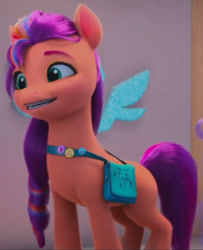 Size: 969x1191 | Tagged: safe, screencap, sunny starscout, earth pony, pony, cutie blossom bash, g5, my little pony: make your mark, my little pony: make your mark chapter 5, spoiler:g5, bag, buttons, cropped, female, mane stripe sunny, mare, saddle bag, solo, standing