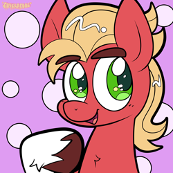 Size: 2000x2000 | Tagged: safe, artist:saveraedae, sprout cloverleaf, earth pony, pony, g5, chest fluff, cute, eyebrows, high res, looking at you, male, open mouth, open smile, raised hoof, smiling, solo, stallion, unshorn fetlocks