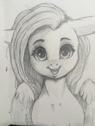 Size: 1536x2048 | Tagged: safe, artist:miokomata, fluttershy, pegasus, pony, g4, cute, female, floppy ears, freckles, freckleshy, looking at you, mare, pencil drawing, shyabetes, smiling, smiling at you, solo, traditional art