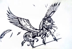 Size: 960x662 | Tagged: safe, artist:hysteriana, oc, fly, pegasus, pony, angry, armor, claws, fantasy class, feather, female, fight, fighter, flying, monochrome, old art, pegasus oc, ponified, sketch, spread wings, traditional art, warrior, warrior cats, wings